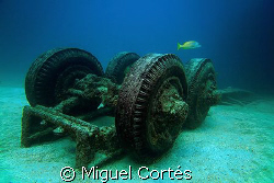 Truck of the "Salvatierra", a wreck in the Sea of Cortez ... by Miguel Cortés 